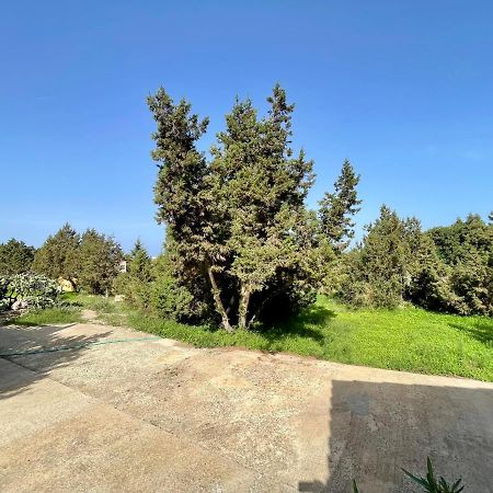 הוילה San Francisco Javier Casa Nube מראה חיצוני תמונה